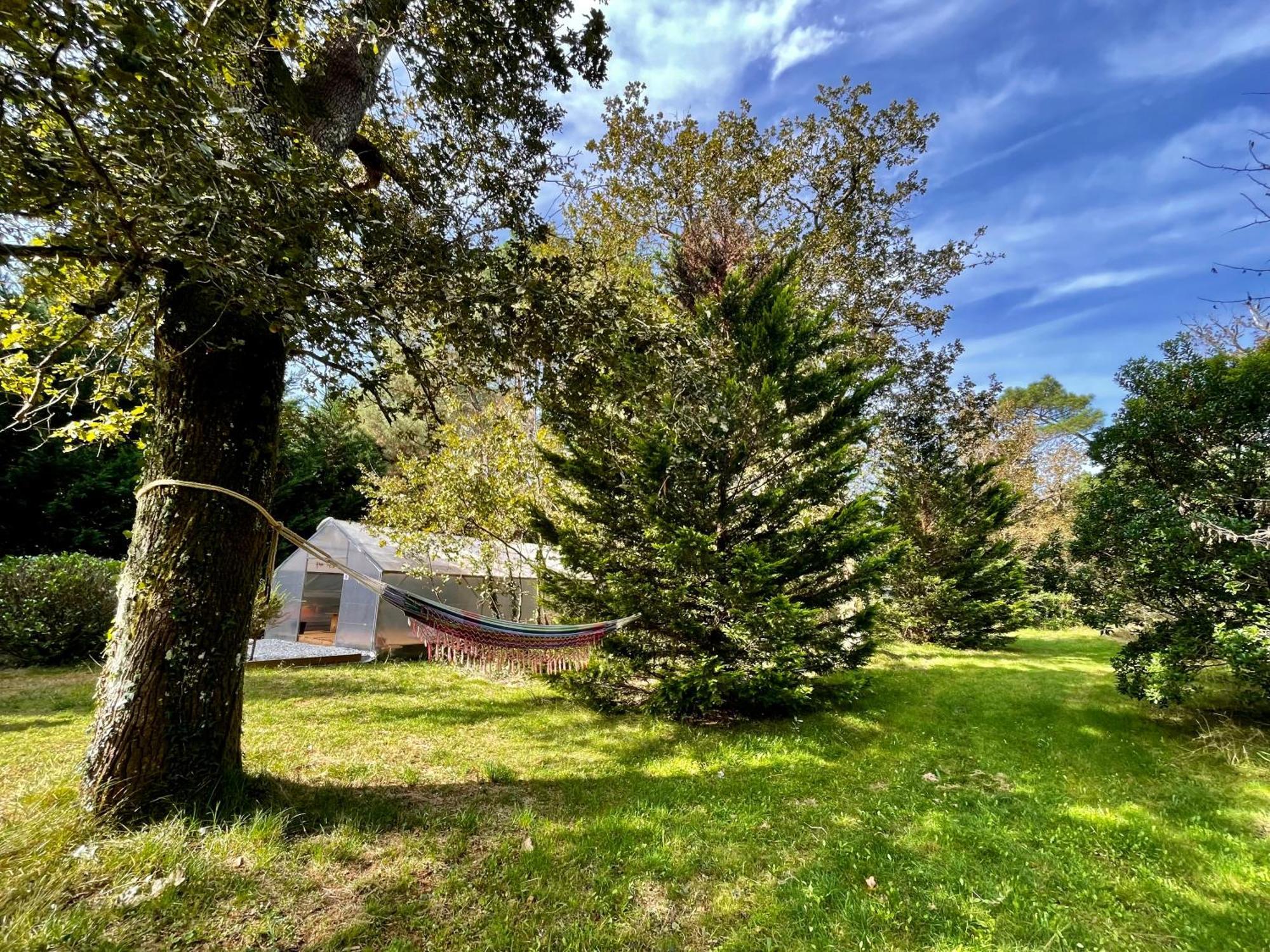 Cabane Au Milieu Des Pins - Domaine Temali Labouheyre Exterior photo